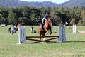 Amy Parsons on Wren Wrouge, Advanced Green Horse Trials A