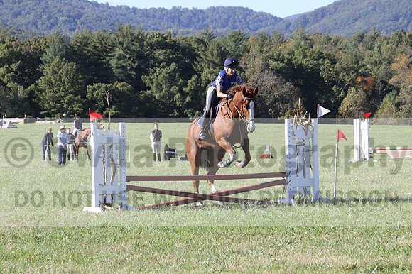 Amy Parsons on Wren Wrouge, Advanced Green Horse Trials A