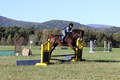 Carol Brickey on Throwing Stones, Advanced Green Horse Trials B
