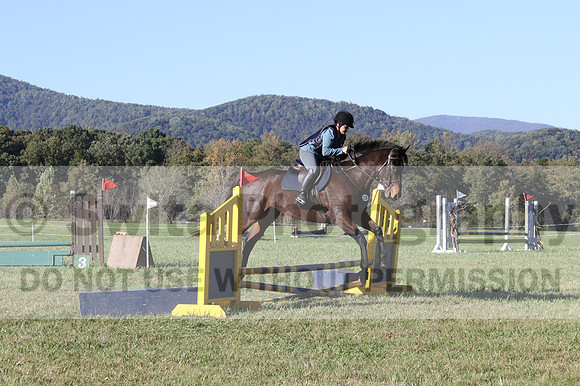 Carol Brickey on Throwing Stones, Advanced Green Horse Trials B