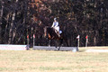 Erica Jones on Bingo, Advanced Green Horse Trials Senior A