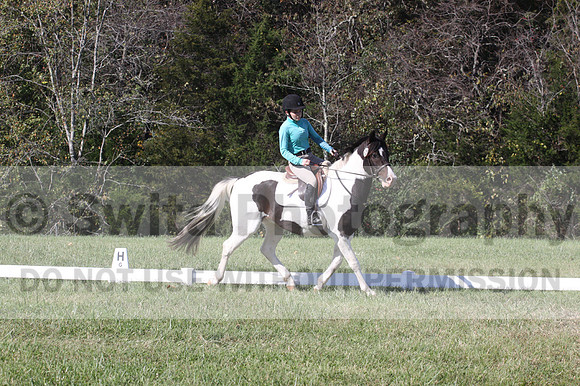 Kaitlyn Schmidt on Dandy, Advanced Green Horse Trials A