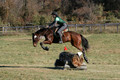 Wendy Zolinski on Civil Assets, Training Horse Trials