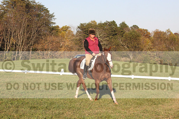 Katherine Palmer on Rio Time Roamer, Dressage Only: Intro A