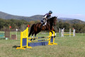Margo Hardy on Soling's Hat Trick, Novice Horse Trials Senior B