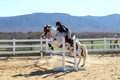 Corrine Woods on Chief's Star Dreammaker, Beginner Novice Horse Trials Senior B