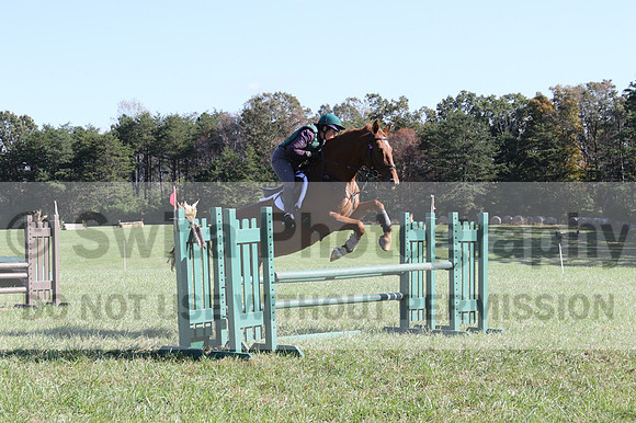 Terry Adcock on Irish Belle, Novice Horse Trials Senior B, Dressage Only: First Level, Test 2