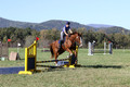 Amy Parsons on Wren Wrouge, Advanced Green Horse Trials A
