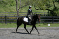 Jenny Rosner on Evita K, Advanced Green HT Senior