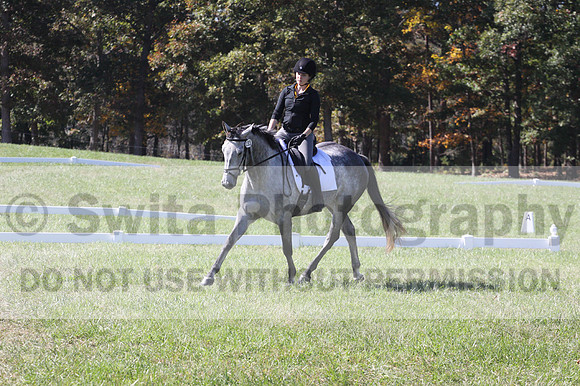 Michele Gnozzio on Dazzling, Beginner Novice Horse Trials Senior C
