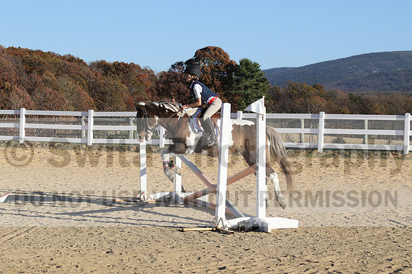 Reagan Roy on Paint By Numbers, Green Horse Trials Junior