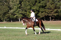 Allie Farley on Fiona, Novice Horse Trials Senior A