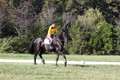 Madlen Lesesne on SBF Figaro, Advanced Green Horse Trials B