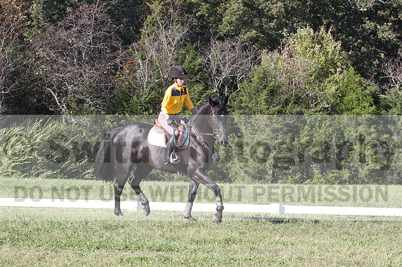 Madlen Lesesne on SBF Figaro, Advanced Green Horse Trials B