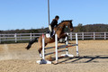 Emily Beshear on My Combination, Novice Horse Trials Senior
