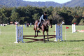 Carol Brickey on Throwing Stones, Advanced Green Horse Trials B