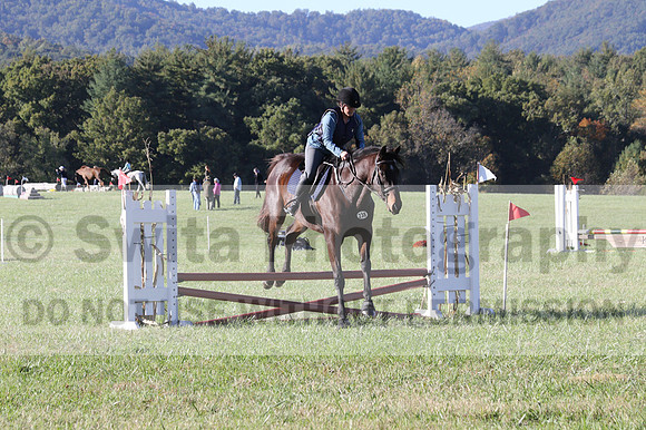 Carol Brickey on Throwing Stones, Advanced Green Horse Trials B