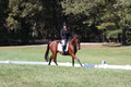 Katie LaValle on High Speed Internet, Beginner Novice Horse Trials Senior A
