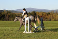 Elizabeth Brown on BallyGrace Encore, Green Horse Trials