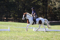 Elizabeth Schooley on Pearl, Advanced Green Horse Trials A