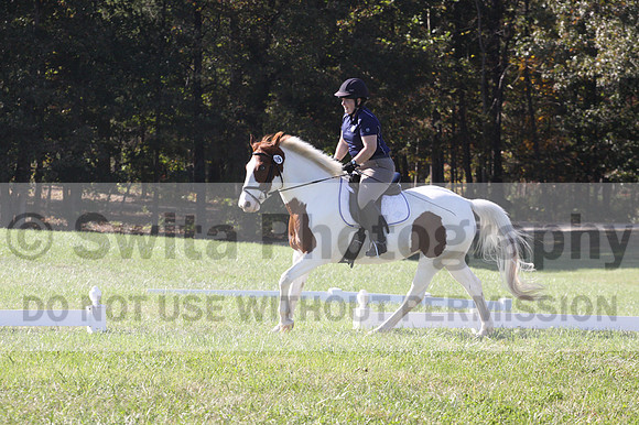 Elizabeth Schooley on Pearl, Advanced Green Horse Trials A
