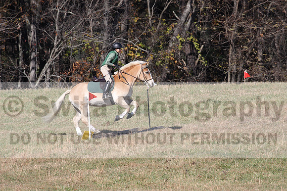 Sally Nunneley on Gingerman, Beginner Novice Horse Trials Senior A