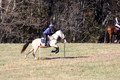 Brynn Katany on Cady O'Daly Artisan, Beginner Novice Horse Trials Junior A