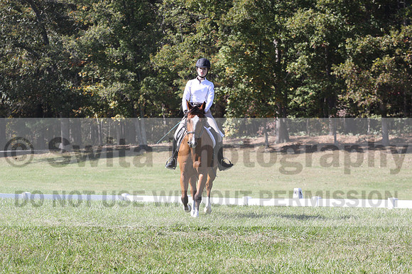 Brooklynn Hull on Challenged Accepted, Beginner Novice Horse Trials Junior A