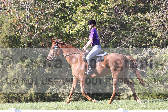Summer Gentry on Coup DeVille, Green Horse Trials