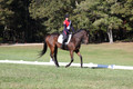 Shannon Daily on Pitt Maneuver, Novice Horse Trials Senior B