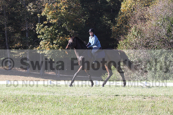 Carol Brickey on Throwing Stones, Advanced Green Horse Trials B