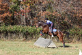 Shannon Daily on Pitt Maneuver, Novice Horse Trials Senior