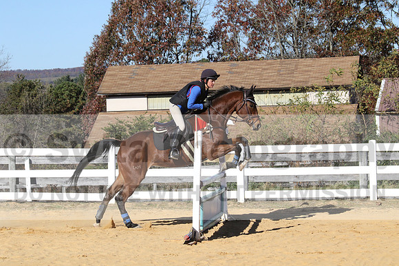 Francesca Toms on Top Secret, Novice Horse Trials Junior