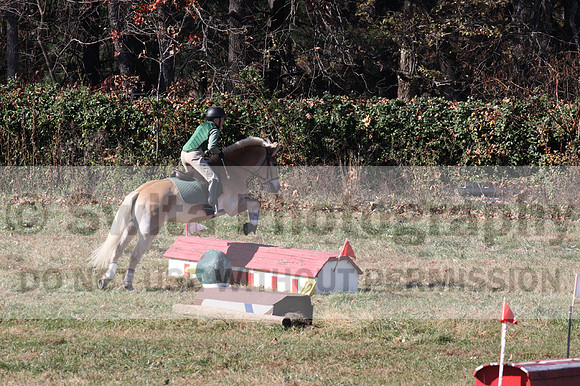 Sally Nunneley on Gingerman, Beginner Novice Horse Trials Senior A