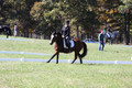 Elaine Groves on Luidonna, Beginner Novice Horse Trials Senior B