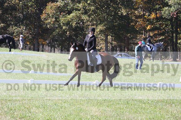 Elaine Groves on Luidonna, Beginner Novice Horse Trials Senior B