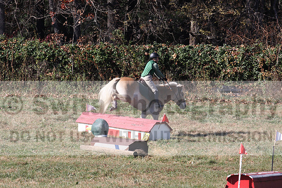 Sally Nunneley on Gingerman, Beginner Novice Horse Trials Senior A