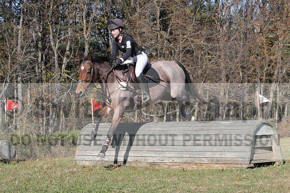 Alex Holliday on Partly Cloudy, Novice Horse Trials Junior