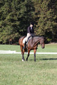 Margo Hardy on Soling's Hat Trick, Novice Horse Trials Senior B