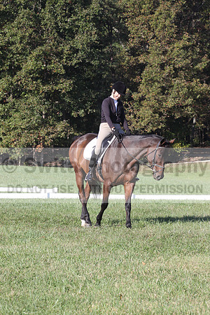 Margo Hardy on Soling's Hat Trick, Novice Horse Trials Senior B