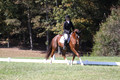Emily Kagey on Flicka, Beginner Novice Horse Trials Junior A