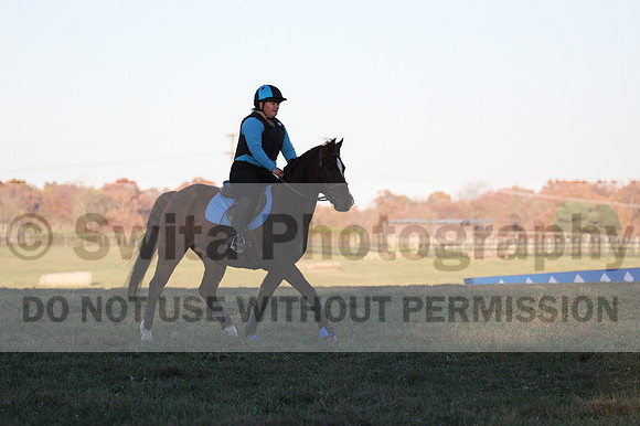 Alison O'Connor on Harwich Maximus, Green Horse Trials Senior