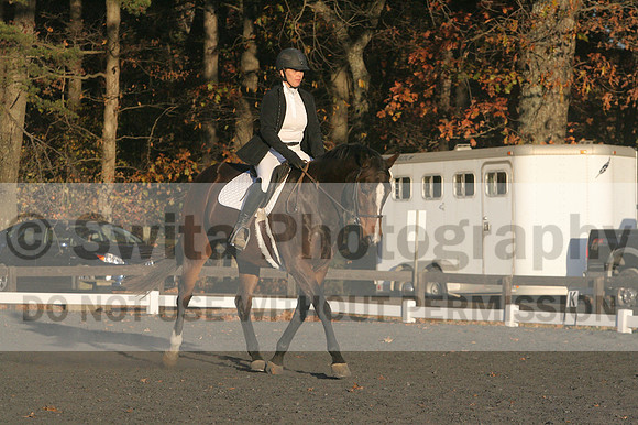 Thea Miller on Something Glamorous, Dressage Only: Training Level, Test 3