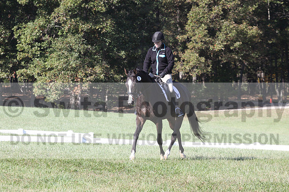Mimi Combs on Aristocrat, Beginner Novice Horse Trials Senior A