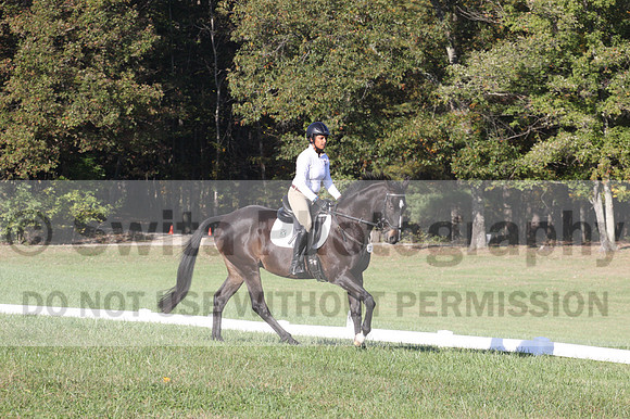 Anna White on Rocking The Ark, Novice Horse Trials Senior A