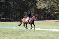Elaine Groves on Luidonna, Beginner Novice Horse Trials Senior B