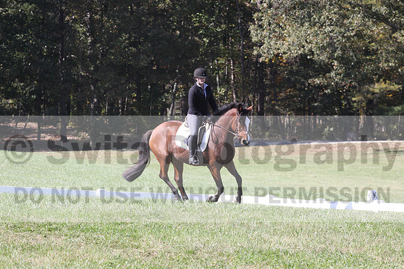 Elaine Groves on Luidonna, Beginner Novice Horse Trials Senior B