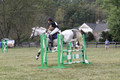 Abigail Winfree on Armani IV, JOT