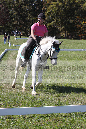 Katie Pinner on Ridgetop Robin Goodfellow, Beginner Novice Horse Trials Senior C