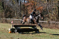CJ Weldon on Talleyrand, Novice Horse Trials Senior